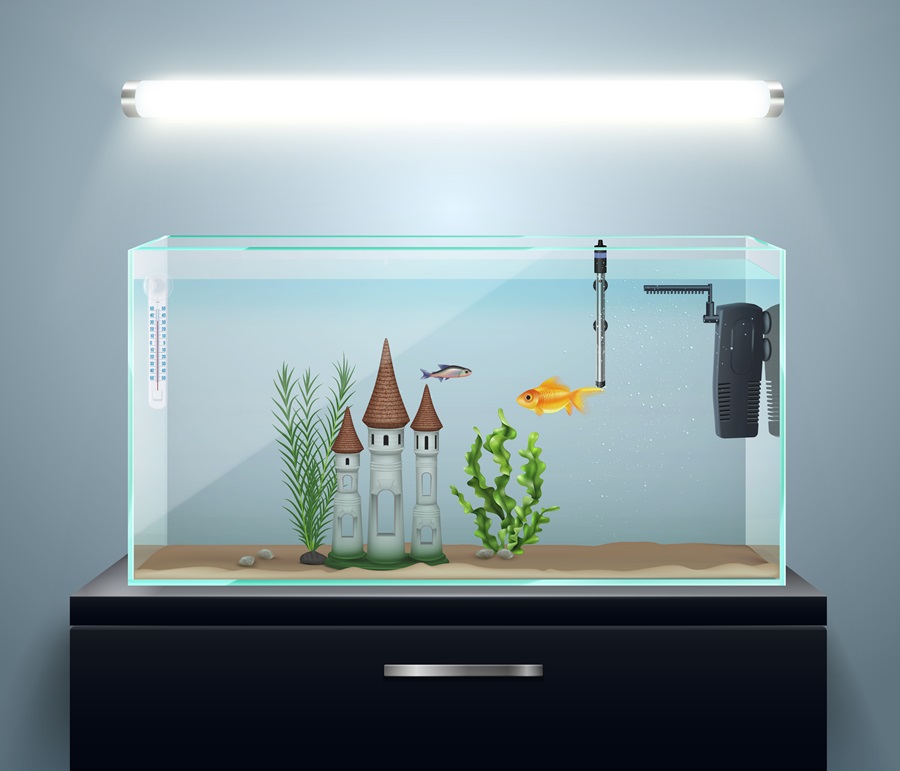 Read more about the article Importance of Fish Tank Heater