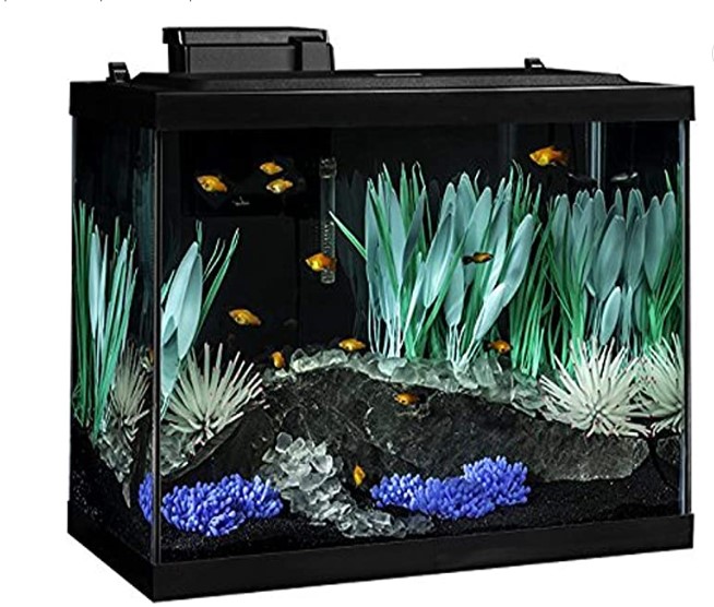 Tetra ColorFusion 20 gallon Aquarium Kit