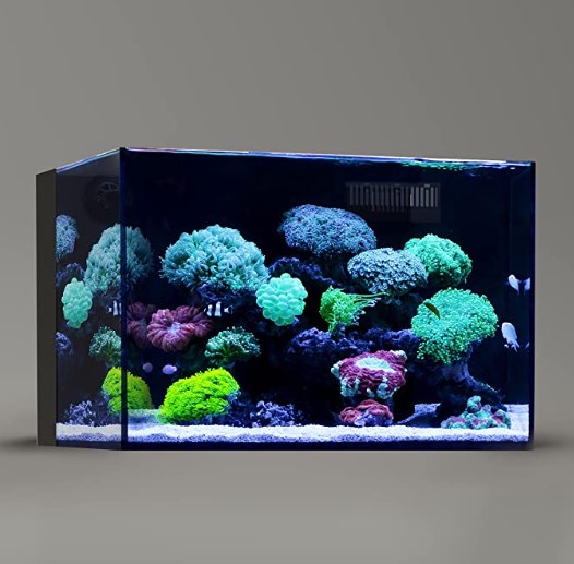 Read more about the article Best 29 | 30 Gallon Fish Tank | Aquarium Kit