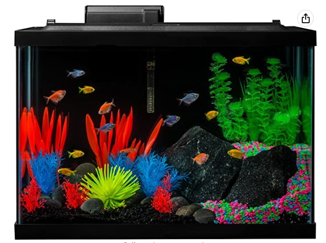 GloFish 20 Gallon Aquarium Kit
