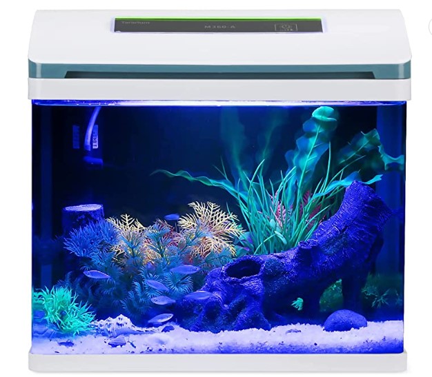 You are currently viewing Best 5 Gallon Fish Tank | Aquarium Kit