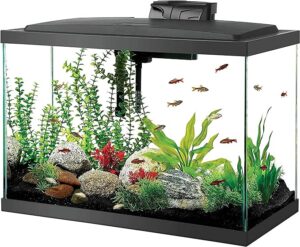 Read more about the article Best 20 Gallon Fish Tank | Aquarium Kit