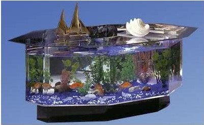 MIDWEST Fish tank